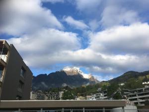 IMG 3565