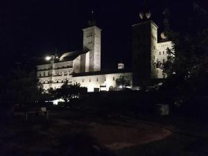 IMG 3872 (1)