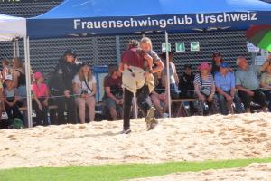 IMG 6731